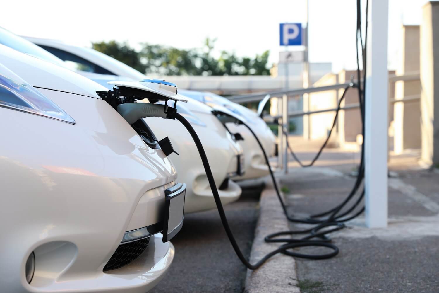 NZ EV Rebate Clean Car Discount For Hybrid Electric Cars Driveline NZ EV Rebate Clean Car Discount For Hybrid Electric Cars Driveline