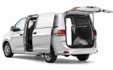 LDV G10
