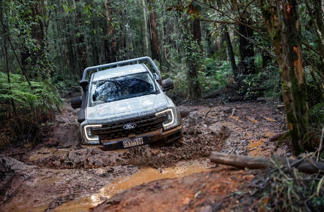 Why Put a Ute Through This Torture?