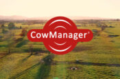 Cow Manager NZ Launch: How Driveline Made It Happen