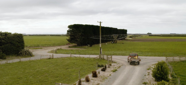 Cow Manager NZ ute driving on gravel road